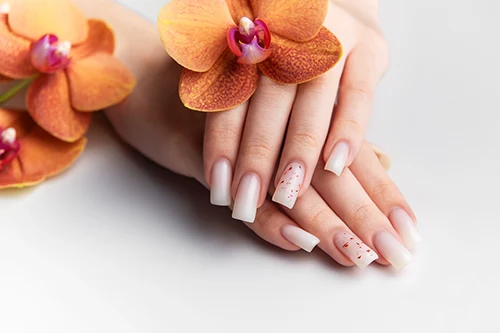 ZEN BUILDER GEL